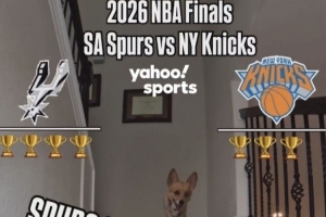 马刺vs尼克斯_NBA篮球直播_西决7场全猜对网红柯基预测马刺总决赛4-3夺冠配图