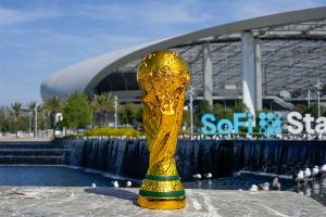 伊朗vs世界杯_足球国家队最新动态_世界杯门票配额取消现场观赛配图