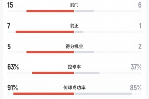 阿根廷vs冰岛_足球比赛数据_控球率63%配图