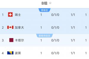 4队1分！世界杯B组按纪律分&世排定排名，瑞士1黄第1&波黑3黄垫底配图